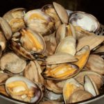 Steamed Aqua Little Necks Clams
